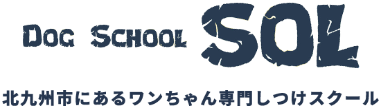 北九州市にあるワンちゃん専用しつけスクール